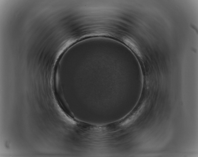 X0000091890797200709051342