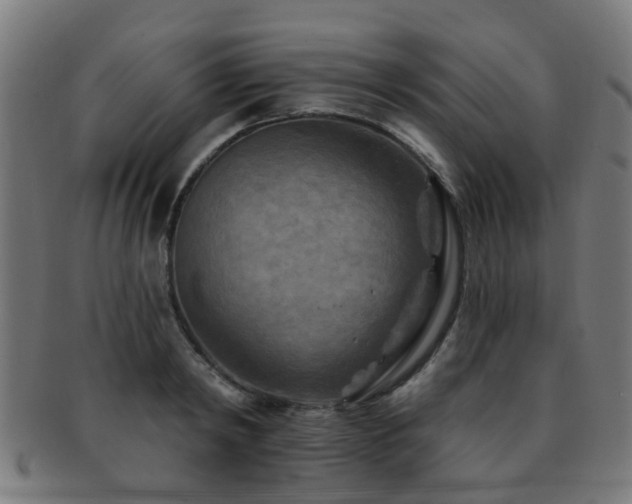 X0000091890798200709051342