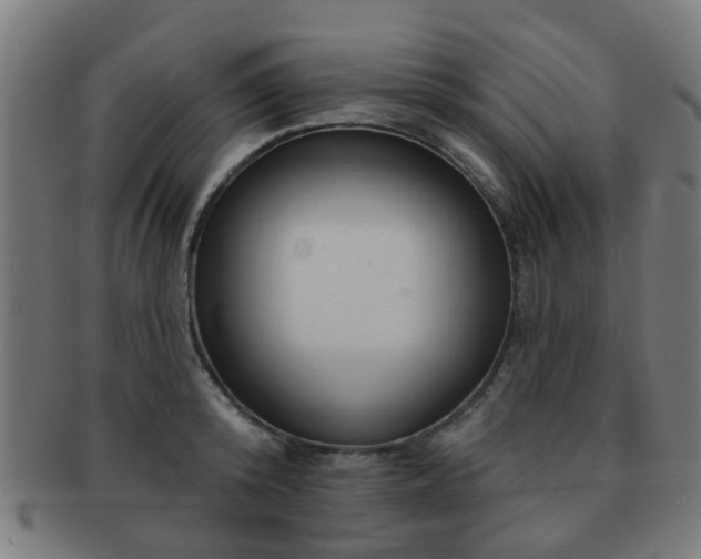 X0000091890800200709051342