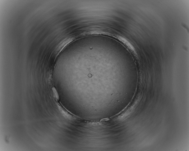 X0000091890801200709051342