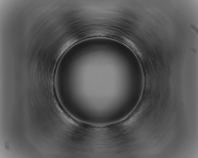 X0000091890802200709051342