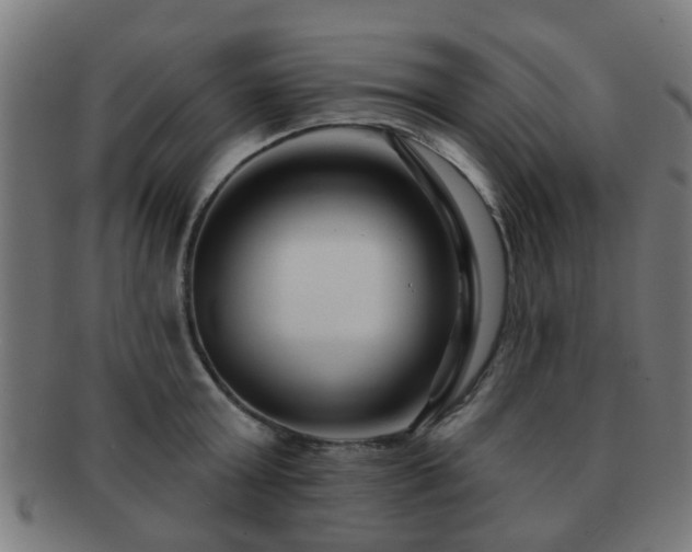 X0000091890803200709051342
