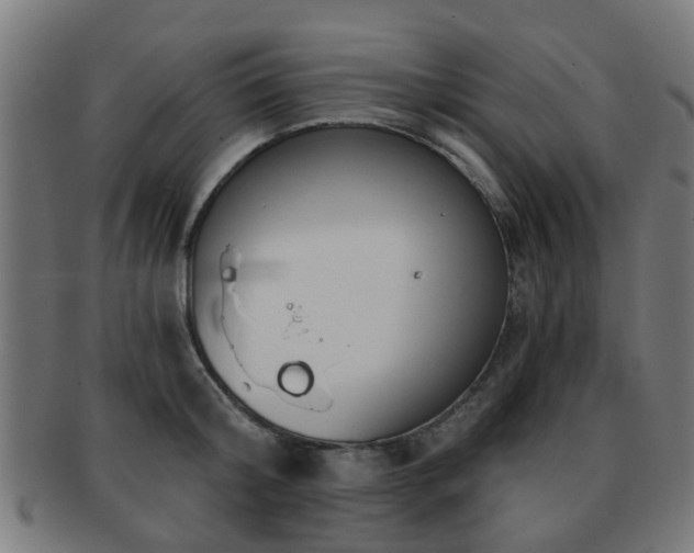 X0000091890804200709051342