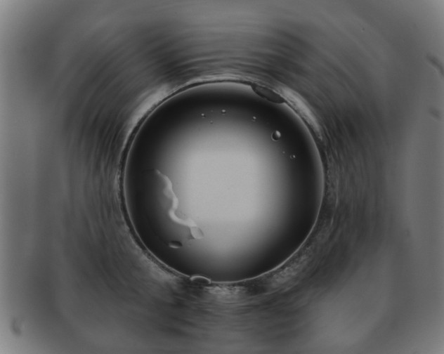 X0000091890805200709051342