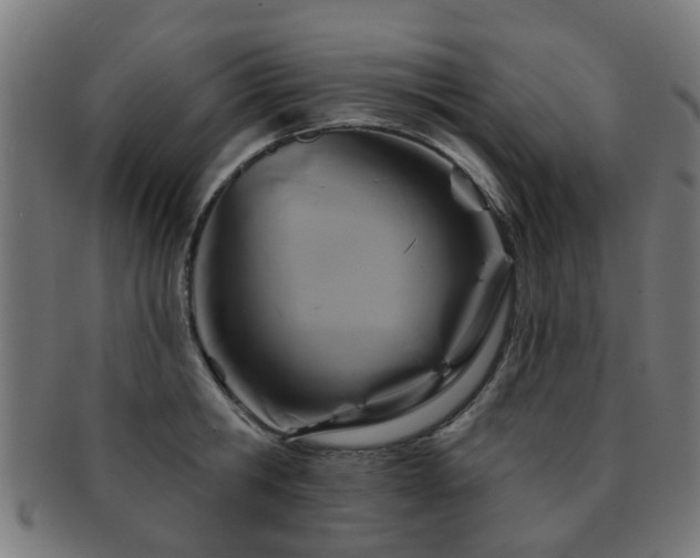 X0000091890806200709051342