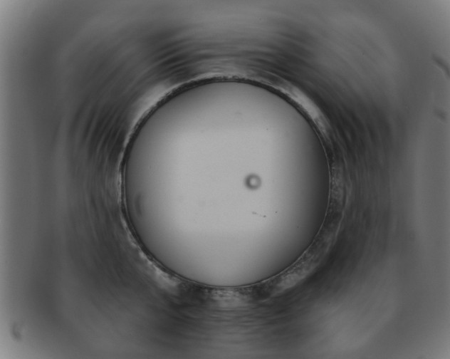 X0000091890807200709051342