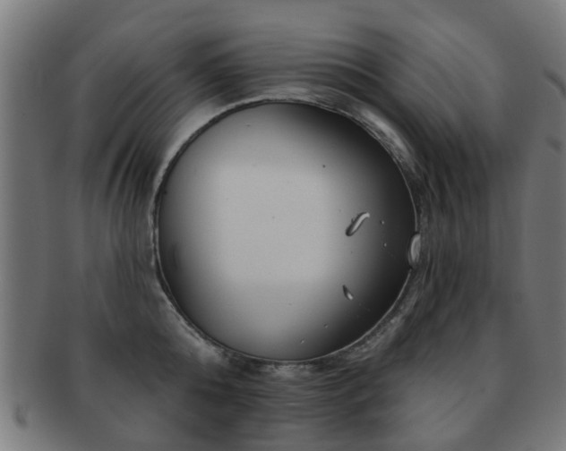 X0000091890808200709051342