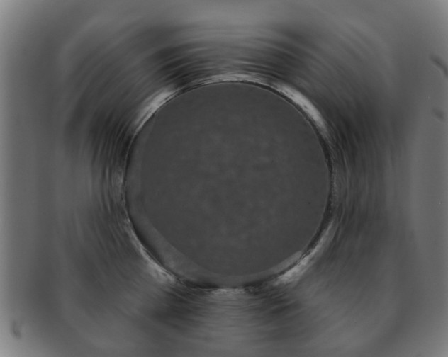 X0000091890809200709051342