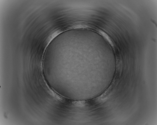 X0000091890810200709051342