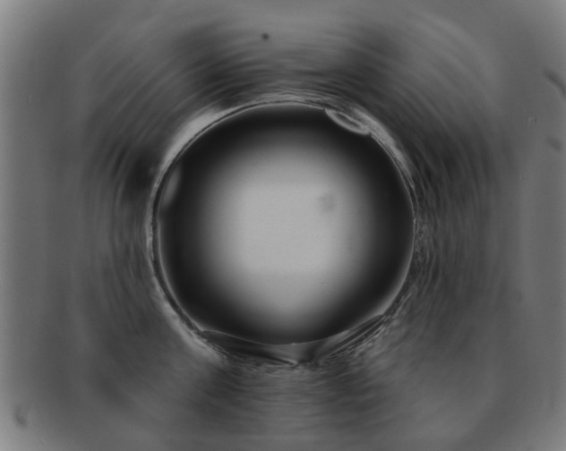 X0000091890811200709051342