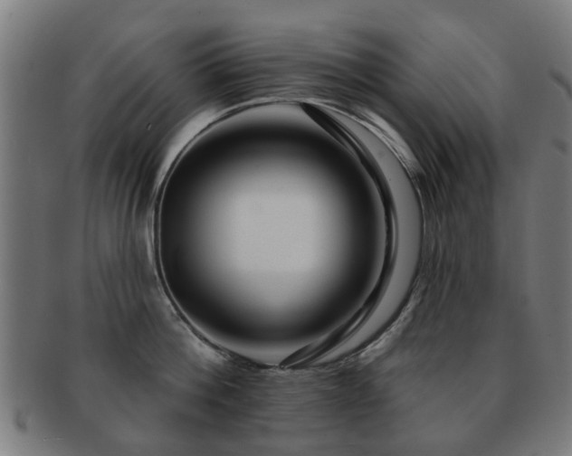 X0000091890812200709051342