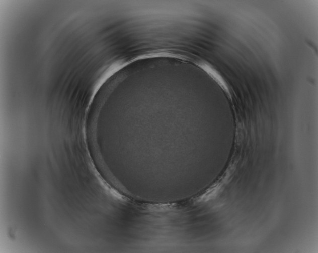 X0000091890813200709051342