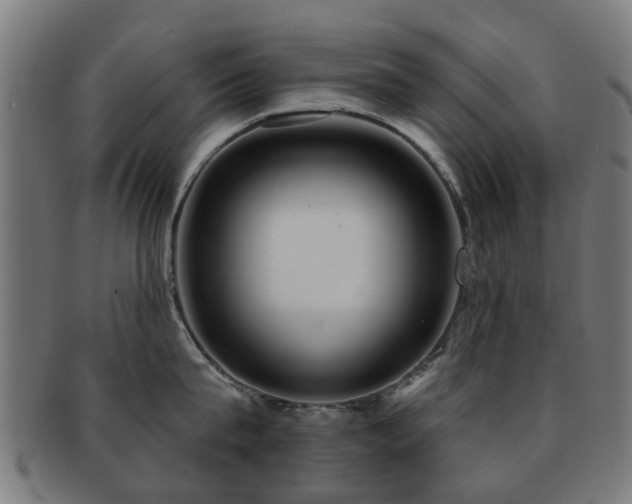 X0000091890815200709051342