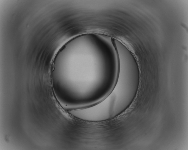 X0000091890816200709051342