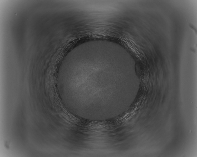 X0000091890817200709051341