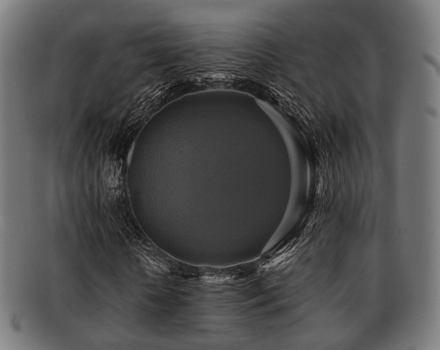 X0000091890818200709051341