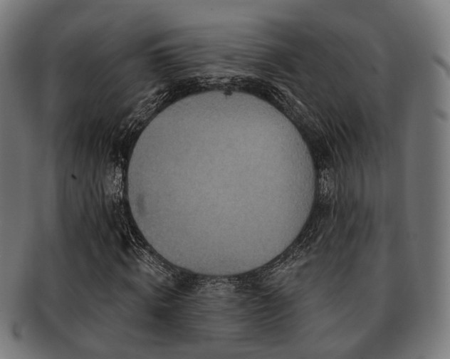 X0000091890820200709051341