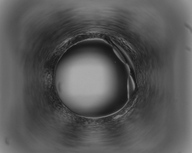X0000091890821200709051341