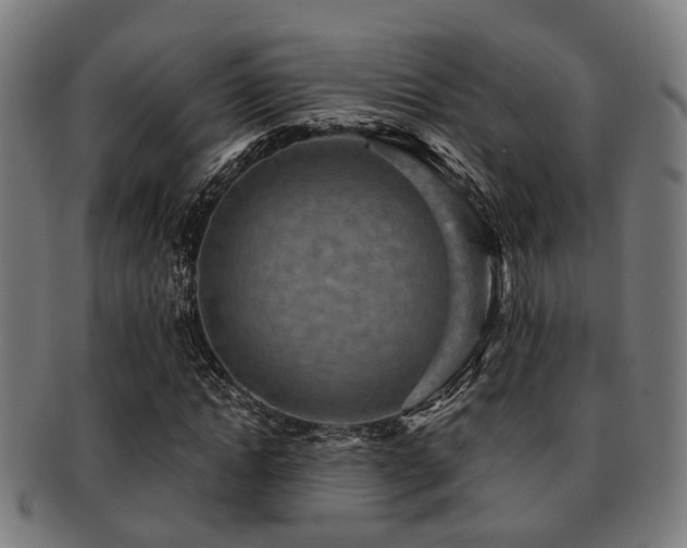 X0000091890822200709051341