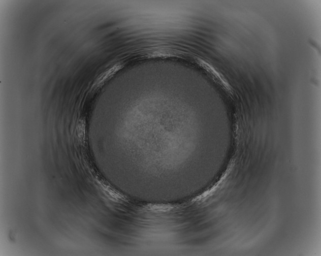 X0000091890825200709051342