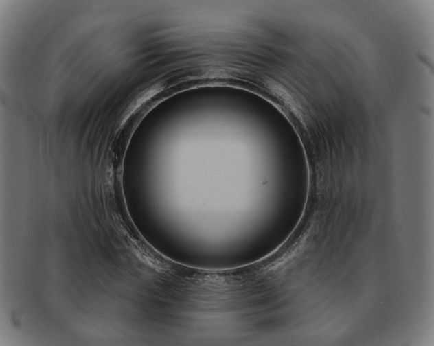 X0000091890827200709051342