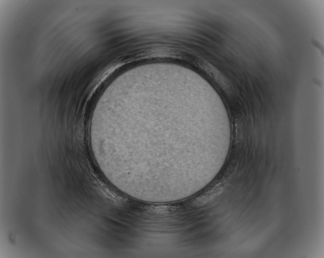 X0000091890828200709051342