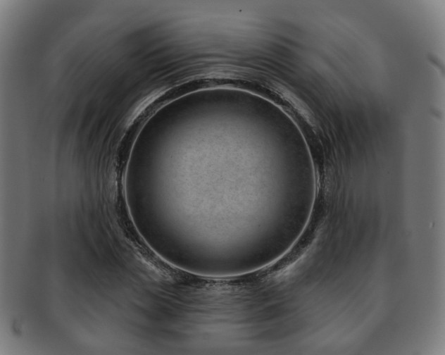 X0000091890829200709051342