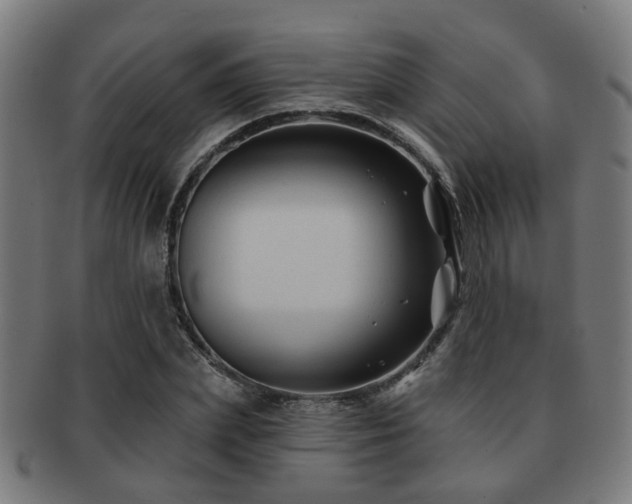 X0000091890831200709051342