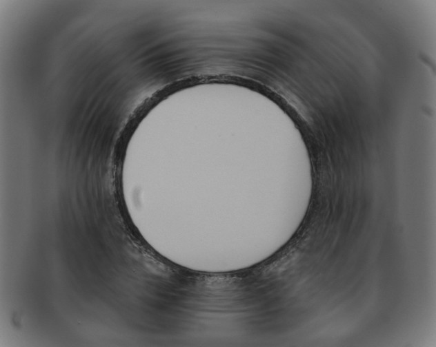X0000091890832200709051342