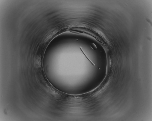 X0000091890833200709051342