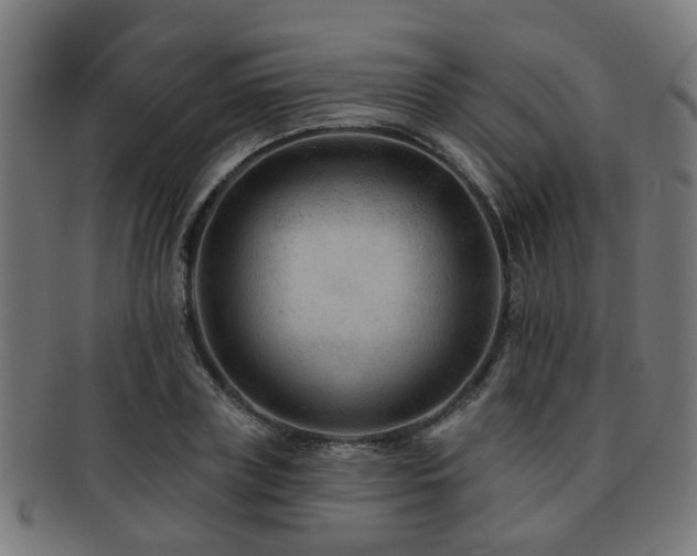 X0000091890835200709051342
