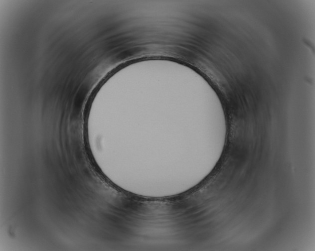 X0000091890836200709051342