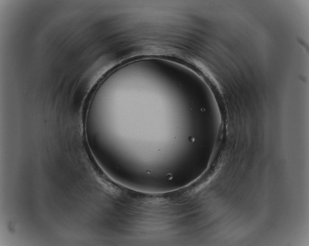 X0000091890837200709051342