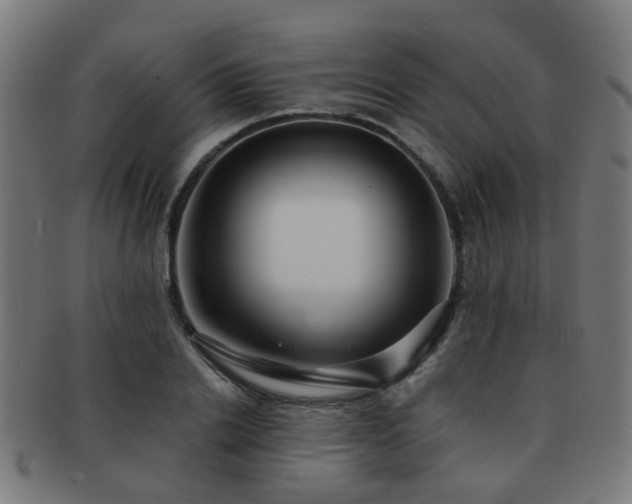 X0000091890838200709051342