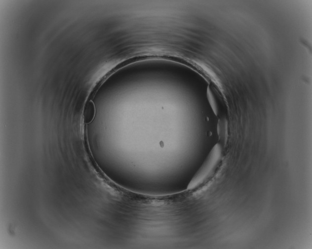X0000091890839200709051342