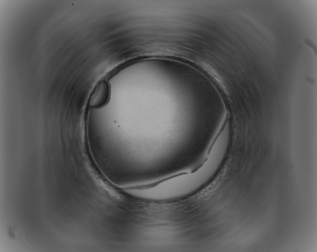X0000091890840200709051342