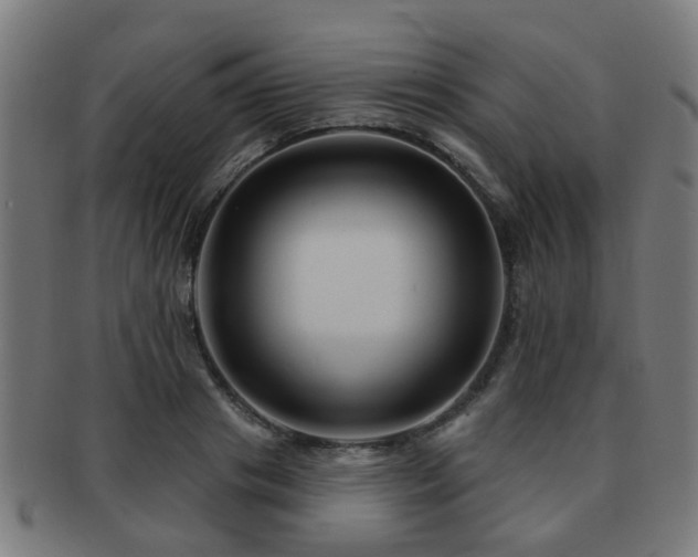 X0000091890841200709051342