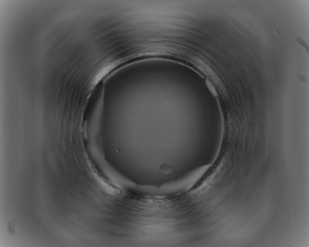 X0000091890842200709051342
