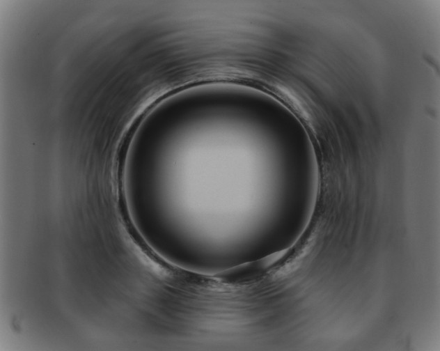 X0000091890843200709051342