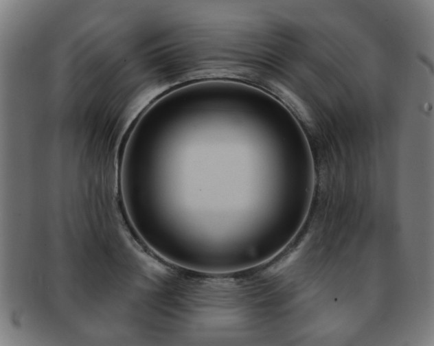 X0000091890844200709051342