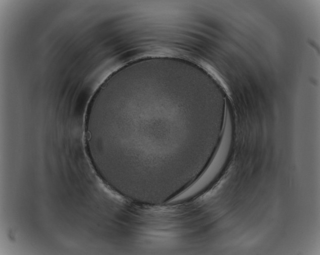 X0000091890845200709051342