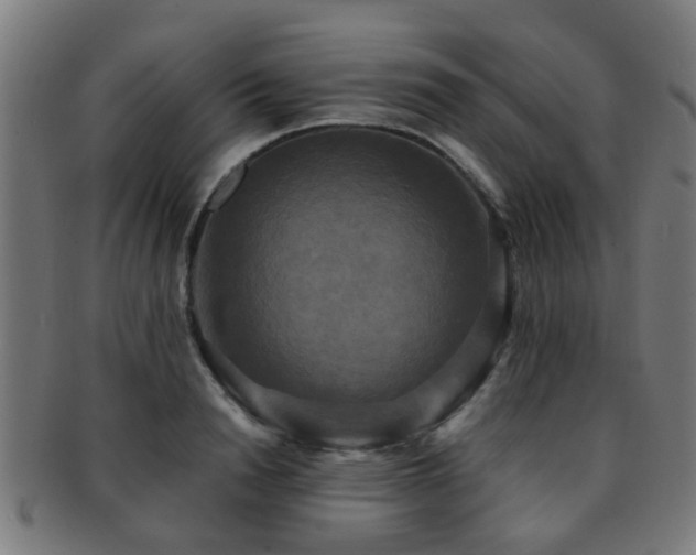 X0000091890846200709051342