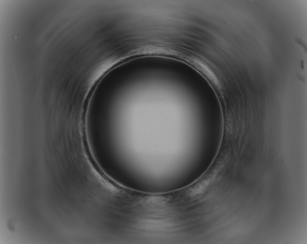 X0000091890847200709051342