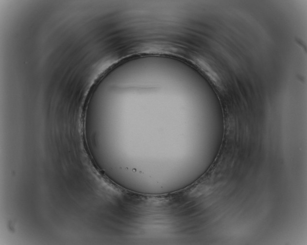 X0000091890848200709051342