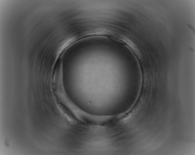 X0000091890850200709051342