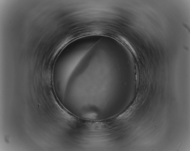 X0000091890851200709051342