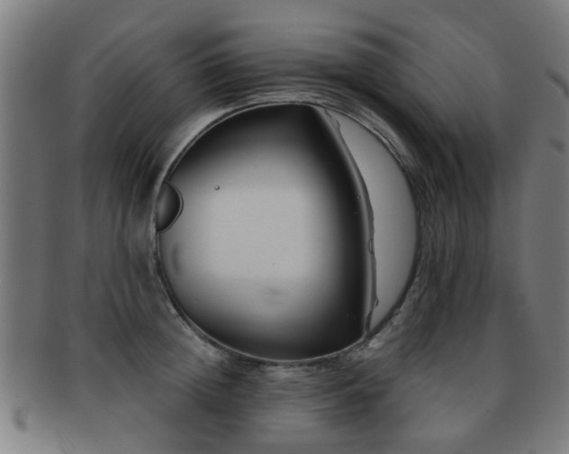 X0000091890852200709051342