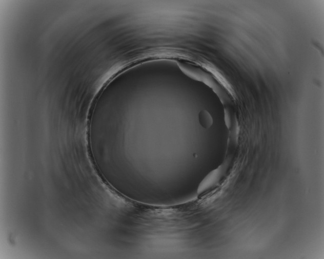 X0000091890853200709051342