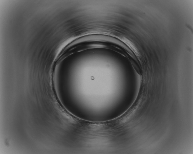 X0000091890854200709051342