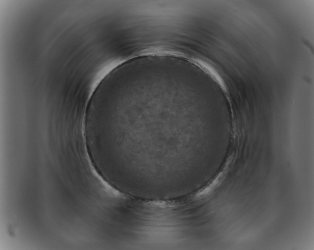 X0000091890855200709051342